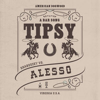 A Bar Song (Tipsy)