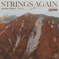 Strings Again, 2020