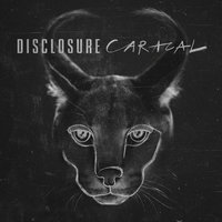 Caracal, 2015