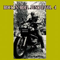 Rock 'n' Roll Junkie, Vol. 4