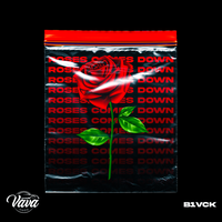 Roses Comes Down - b1vck