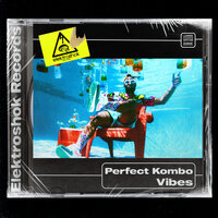 Vibes - Perfect Kombo