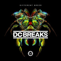 Moving On - Dc Breaks