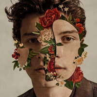 Señorita - Shawn Mendes & Camila Cabello