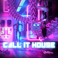 Call It House - Laidback Luke & Djs From Mars