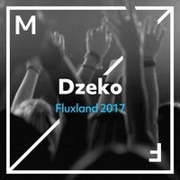 Fluxland 2017, 2017