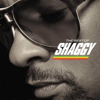 The Best Of Shaggy