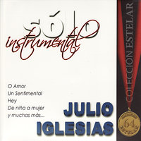 Sólo Instrumental, 2008