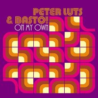 On My Own - Peter Luts & Basto