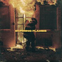 BURNING FLAMES - L19U1D