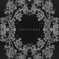 Branches, 2018