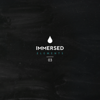 Immersed Elements 03, 2022