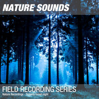 Nature Recordings - Dreamy forest night