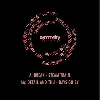 Steam Train / Days Go By, 2013