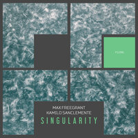 Singularity - Max Freegrant & Kamilo Sanclemente