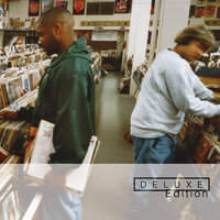 Endtroducing, 2005