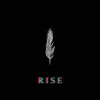 Rise - Feather/Feather