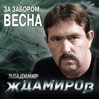 За забором весна, 2016