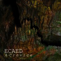 Ecaed - Introspection