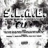 Plex, Vol. 4, 2004