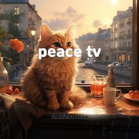 peace tv