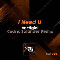 I Need U - Vertigini