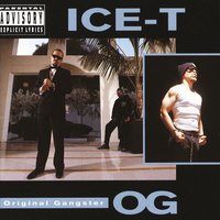 Ice T - Mind over Matter