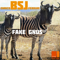 Fake Gnus