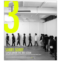 쏘리 쏘리 SORRY, SORRY - The 3rd Album, 2009