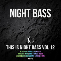 This is Night Bass: Vol. 12, 2021