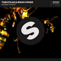 Hornets Nest - Tom Staar & Brian Cross