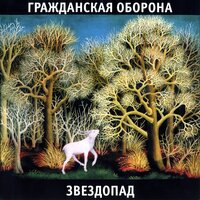 Звездопад, 2002