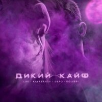 Дикий кайф, 2019