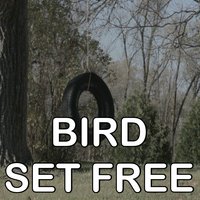 Bird Set Free - Tribute to Sia