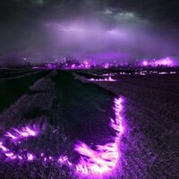 Purple Haze - NIGHTMORSS & Lastfragment