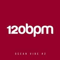 Ocean Vibe, Vol. 2