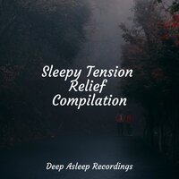 Sleepy Tension Relief Compilation, 2021