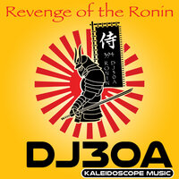 Revenge Of The Ronin