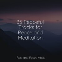 35 Peaceful Tracks for Peace and Meditation, 2022