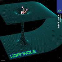 Wormhole, 2022