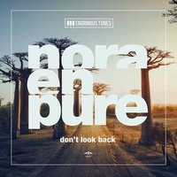 Don't Look Back