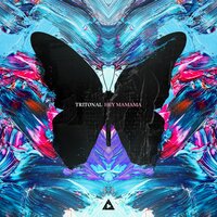 Tritonal - Hey Mamama