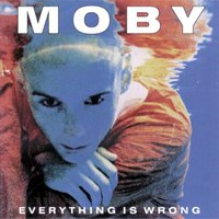 Everything Is Wrong, 1995