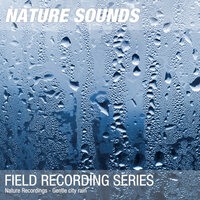 Nature Recordings - Gentle city rain, 2019