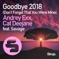 Goodbye (Don't Forget That You Were Mine) 2018, 2018