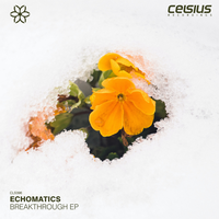 With You - Echomatics