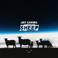 Jay Sarma