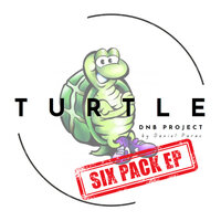 TURTLE DNB PROJECT