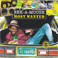 Eek A Mouse