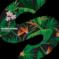 Damien N-Drix